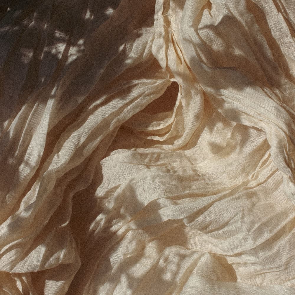 Crumpled cream silk with leaf shadows falling across it