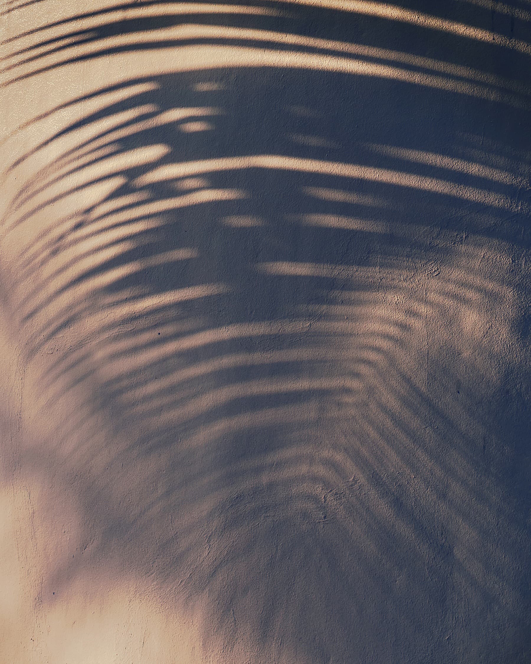 The shadow of a palm frond across a warm plaster wall